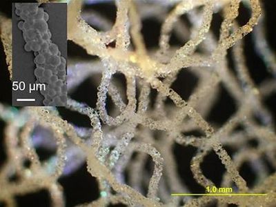 科學家研發出用于生物醫學的3D打印硅膠技術